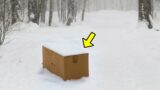Little Boy Found a Weird Box in The Forest. When His Grandma Opened It, She Cried!