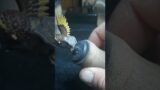 Painting an Owl Warrior by Mini Monster Mayhem