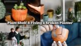 Plant Shelf Revamp & Fixing a Broken Ceramic Planter – Care Vlog.