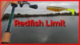 Redfish Limit On Soft Plastics Flatwater Baits