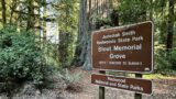 Road Trippin' Redwood Country: Redwood National and State Parks