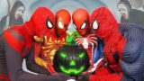 SUPERHERO's Story || All RED SPIDER-MAN vs MYSTERY PUMPKIN