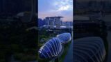 Singapore Marina Bay Sands #shorts #ytshorts #travel #singapore #reels
