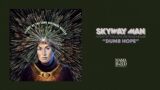 Skyway Man – "Dumb Hope" (Art Track)