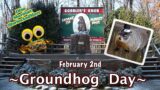 Storytime, Kids Holiday Video: Groundhog Day