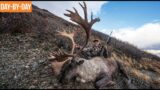 THE BEST STALK WE'VE EVER SEEN | Yukon Caribou and Moose (EP.2)