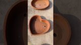 Terracotta bonsai pots