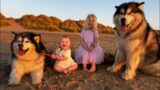 The Best Years Of Our Lives! Baby And Pups Growing Up Together Compilation (Cutest Ever!!)