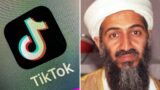 The Guardian Reacts After TikTokers Promote HORRIFIC Osama Bin Laden Letter