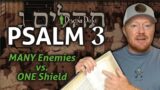 The Lyrics of Psalm 3 – Many Enemies, One Shield
