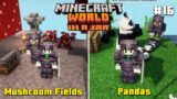 The Mushroom Fields And Pandas | Jar Survival #16 | Minecraft In Telugu | Raju Gaming