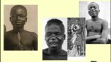 The Shocking Story of Ota Benga: The Man Who Lived in a Zoo