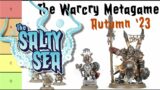 The Warcry Autumn Metagame 2023 – with tierlist