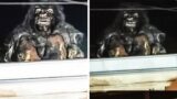 This Man Was Able To Capture The Clearest Images Of Bigfoot Ever Taken
