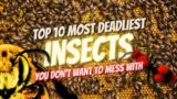 Top 10 Deadliest Insects You Don't Want to Mess With