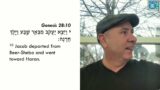 Torah L'Chayim // Vayetzei 5784 // A Pleasant Night’s Rest