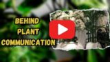 Unveiling the Mysteries Behind Plant Communication!| Nature's Whisperers Revealed