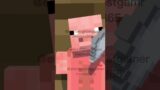 Viewer Mail Time #shorts #minecraft #animation