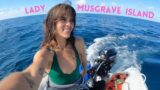 WALLPAPER DESTINATION – sailing, diving, fishing Lady Musgrave island – Episode 22