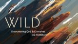 Wild | The Ten Commandments | Part 9 | Rev. Dr. Daniel Meyer | Contemporary