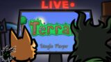 Yet another bonus Calamity Build Stream?! (LIVE) | Terraria