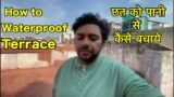 terrace floor paint | terrace waterproofing | terracotta @greatnanda #vikrantnanda #viral #video