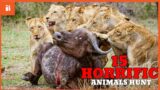 15 HORRIFIC Ways Animals Hunt Their Prey