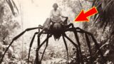 The New Terrifying Discovery In Congo That Scares Scientists!