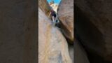 Goldstrike Canyon Hot Springs | Climbing down using Ropes | Pickupsports | Hiking Adventures | 15