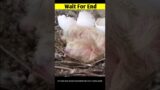 Wait For End #shorts #short #viral #humanity #amazing #help #trending #facts #moralstories