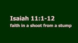 23-12-10 – FBCWC Live – Faith in a Shoot From a Stump  – Isaiah 11:1-12