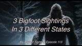 3 Bigfoot Sightings in 3 Different States – My Bigfoot Sighting Episode 113