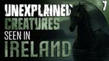 7 UNEXPLAINED & DISTURBING Creatures Sighted in IRELAND and More Stories of the Unknown
