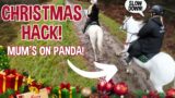 A VERY FAST CHRISTMAS HACK!! * MUM RIDE'S PANDA!! *