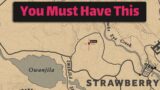A very important item that you must obtain as soon as possible – RDR2