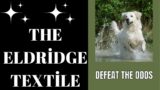 Against All Odds  The Eldridge Textile(motivational story)