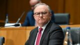 Albanese tries to remain a ‘deliberate small target’ amid ongoing crises