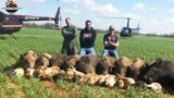 American Farmers And Hunters Deal With Wild Boars Destroying Farms In This Way – Invasive Animals