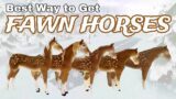 BEST WAY To Get FAWN HORSES!! My Tips on Getting Fawns From The Holiday Event in Wild Horse Islands