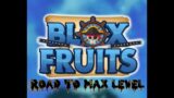 BLOX FRUITS ROAD TO MAX LEVEL (Episode 2)