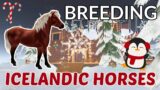 BREEDING THE NEW ICELANDIC HORSES! | Wild Horse Islands
