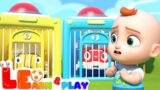 Baby Leo To The Rescue | Educational Videos for Toddlers | Learn & Play with Leo