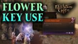 Baldur's Gate 3 Flower Key: Where to find and How to Use It