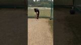Batting drill-Try this backfoot drill #cricketshorts #cricket