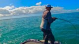 Battling Moreton Bay Monsters