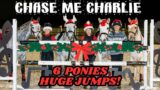 CHASE ME CHARLIE! HOW BIG CAN OUR 6 PONIES JUMP!