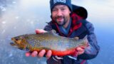 Chasing Giants: Massive Brook Trout Caught Ice Fishing! New Hampshire