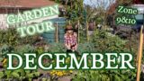 December Garden Tour & Cool Season Recommendations for Zones 9 & 10