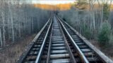 Deer Hunting from RAILROAD TRACKS?!?! (Buck Down!!)