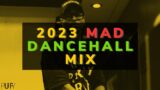 Dj Puffy – 2023 MAD Dancehall Party Mix (Byron Messia, Skeng, Valiant, Skillibeng)